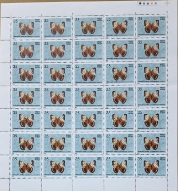 Butterflies - Stichophthalma Camadeva. Brush-Footed Butterfly, Stichophthalma camadeva, Morphinae,35P - MNH (Stamp Full Sheets - 35stamps)