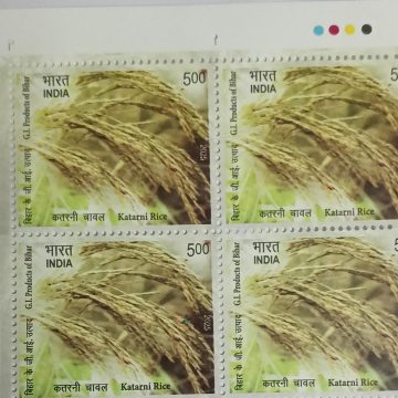 Katarni Rice Rs.5 (Block of 4 TL Stamp)