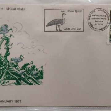 Wild life day (Special Cover)