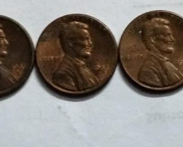 USA 1 CENT 1981-1990 (9 COINS)1982 COIN MISSING