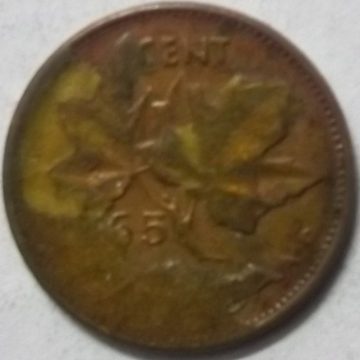 1 Cent Canada 1965 Elizabeth II D.G Regina (used)