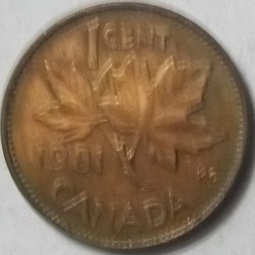 1 Cent Canada 1981 Elizabeth II D.G Regina (used)