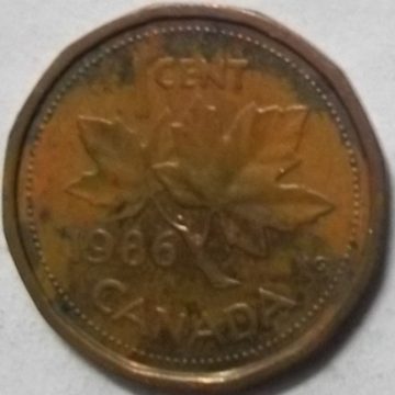 1 Cent Canada 1986 Elizabeth II D.G Regina (used)