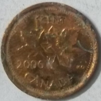 1 Cent Canada 2006 Elizabeth II D.G Regina (used) | Indian Postage Stamps | Indian Coins | Old Indian Currency | Rare Indian Coins | Numismatic Collection India