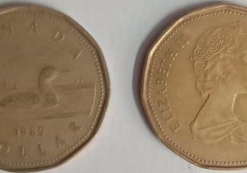 1 DOLLAR CANADA 1989 Elizabeth II D.G Regina (used)