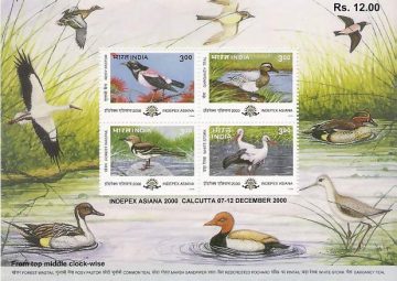 Indepex Asiana 2000 Asian International Philatelic Exhibition - 24 May 2000 (Indian Miniature Sheets)