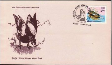 First Day Cover 18 May 1985 Wildlife Conservation White Winged Wood Duck (Fdc-1985) (Spots/Hinged/Slightly Damaged/Paper Stuck)