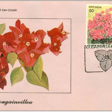 First Day Cover 05 Jun. '85 Bougainvillea.(FDC-1985)
