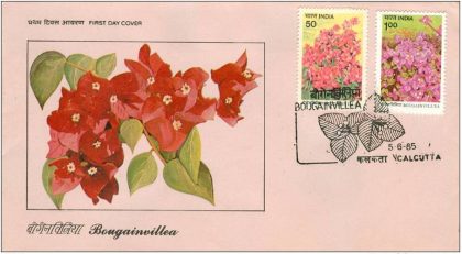 First Day Cover 05 Jun. '85 Bougainvillea.(FDC-1985) | Indian Postage Stamps | Indian Coins | Old Indian Currency | Rare Indian Coins | Numismatic Collection India
