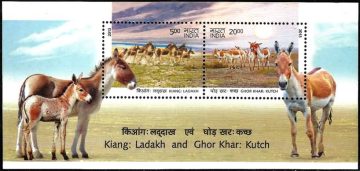 Kutch Wild Asses - 2013 (Indian Miniature Sheets)