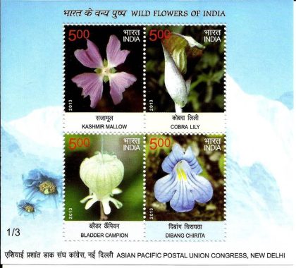 Wild Flowers - 2013 (Indian Miniature Sheets) | Indian Postage Stamps | Indian Coins | Old Indian Currency | Rare Indian Coins | Numismatic Collection India