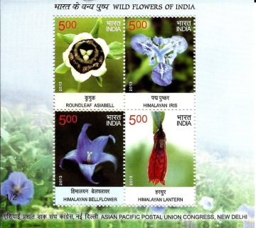 Wild Flowers - 2013 (Indian Miniature Sheets)