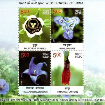 Wild Flowers - 2013 (Indian Miniature Sheets)