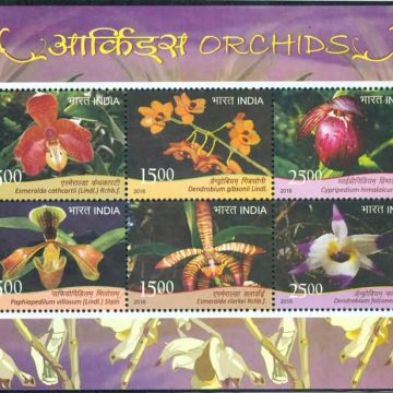 Orchids - 2016 (Indian Miniature Sheets)