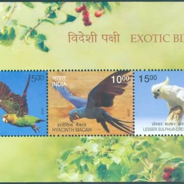 Exotic Birds - 2016 (Indian Miniature Sheets)
