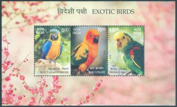 Exotic Birds - 2016 (Indian Miniature Sheets)