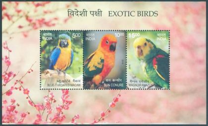 Exotic Birds - 2016 (Indian Miniature Sheets) | Indian Postage Stamps | Indian Coins | Old Indian Currency | Rare Indian Coins | Numismatic Collection India