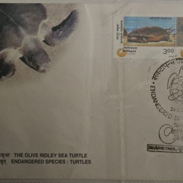 First Day Cover 29 Jan. '00 "Millepex 2000" , National Philatelic Exhibition, Bhubaneshwar. Endangered Species: Turtles.(FDC-2000)
