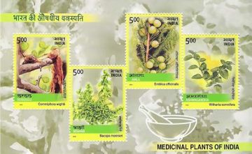 Medicinal Plants of India - 2003 (Indian Miniature Sheets)