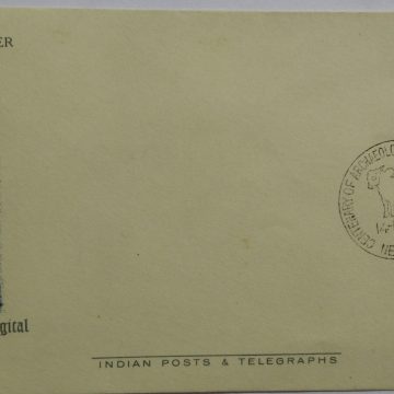 Centenary Archacological Survey of India (2)  (Single Stamp Fdc)