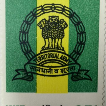 Territorial Army Emblem (Hinged/Gum Wash)