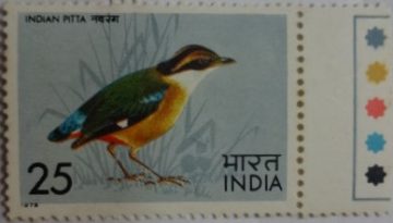 Indian Pitta (Hinged/Gum Wash)