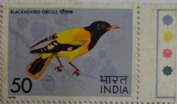 Headed Oriole (Traffic Light Stamp)