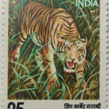 Jim Corbett Birth Centenary. Personality, Hunter, Conservationist, Author, Naturalist, Tiger, Wild Life, Centenary, 25 P.  (Hinged/Gum washed stamp)