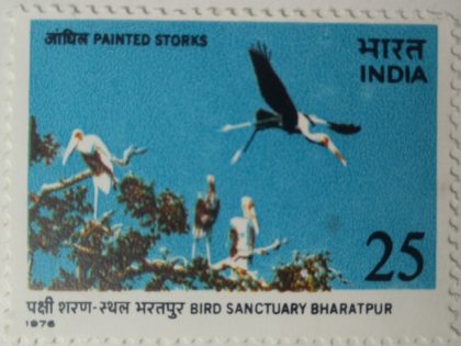 Bird Sanctuary Bharatpur - Painted Storks. Keoladeo Ghana National Park, Bird Sanctuary, Painted Stork, Mycteria leucocephala, Wading Bird, 25 P.  (Hinged/Gum washed stamp) | Indian Postage Stamps | Indian Coins | Old Indian Currency | Rare Indian Coins | Numismatic Collection India