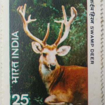 Wild Life - Swamp Deer. Wild Life, Swamp Deer, Barasingha, Rucervus duvaucelii, Cervus duvaucelii, 25 P. (Hinged/Gum washed stamp)