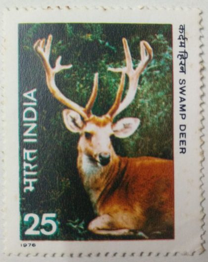 Wild Life - Swamp Deer. Wild Life, Swamp Deer, Barasingha, Rucervus duvaucelii, Cervus duvaucelii, 25 P. (Hinged/Gum washed stamp) | Indian Postage Stamps | Indian Coins | Old Indian Currency | Rare Indian Coins | Numismatic Collection India