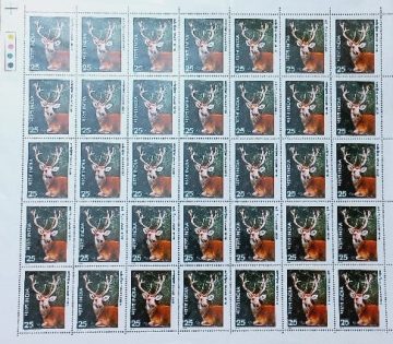 Wild Life - Swamp Deer. Wild Life, Swamp Deer, Barasingha, Rucervus duvaucelii, Cervus duvaucelii, Rs.25p- MNH (Stamp Full Sheets - 35stamps)