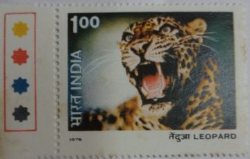 Leopard (Traffic Light Stamp)