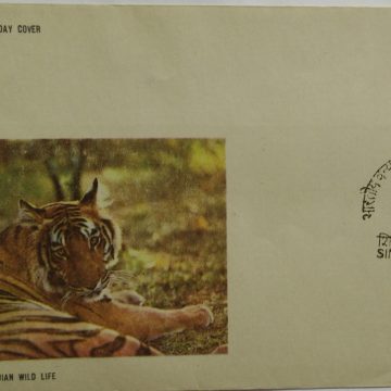 Indian Wild Life (Single Stamp Fdc)