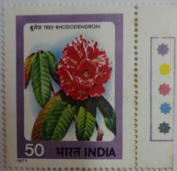 Tree-Rhododendron(725) (Hinged/Gum Wash)