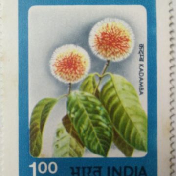 Indian Flowers - Kadamba. Flower, Kadamba, Kadam, Neolamarckia cadamba, Horticulture, Botany, Rs. 1 (Hinged/Gum washed stamp)
