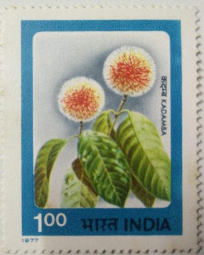 Indian Flowers - Kadamba. Flower, Kadamba, Kadam, Neolamarckia cadamba, Horticulture, Botany, Rs. 1 (Hinged/Gum washed stamp) | Indian Postage Stamps | Indian Coins | Old Indian Currency | Rare Indian Coins | Numismatic Collection India