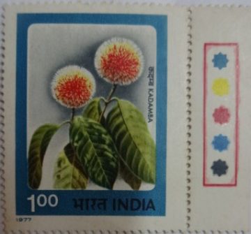 Kadamba (Traffic Light Stamp)