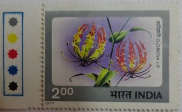 Gloriosa Lily (Hinged/Gum Wash)