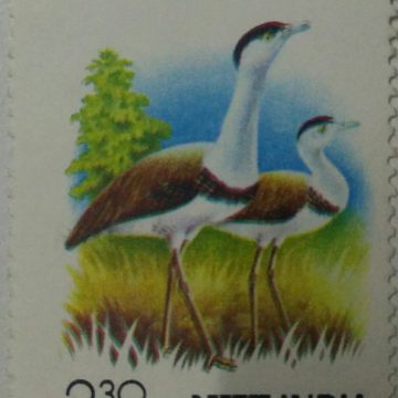 International symposium on the Great Indian Bustards, Jaipur  (Hinged/Gum washed stamp)