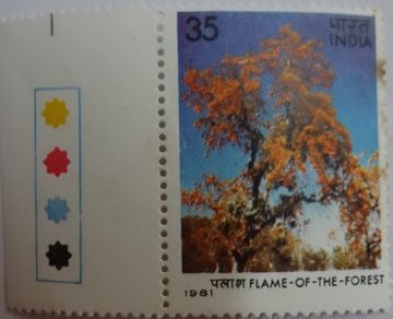 Butea monosperma Flame of the Forest (Traffic Light Stamp)