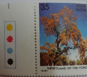 Butea monosperma Flame of the Forest (Traffic Light Stamp)