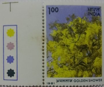 Cassia fistula Golden Shower (Hinged/Gum Wash)