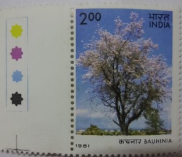 Bauhinia bariegate Bauhinia (Traffic Light Stamp)