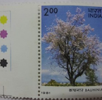 Bauhinia bariegate Bauhinia (Traffic Light Stamp)