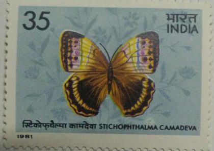 Butterflies - Stichophthalma Camadeva. Brush-Footed Butterfly, Stichophthalma camadeva, Morphinae,35 P.  (Hinged/Gum washed stamp) | Indian Postage Stamps | Indian Coins | Old Indian Currency | Rare Indian Coins | Numismatic Collection India