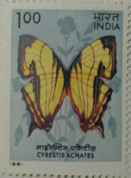 Butterflies - Cyrestis Achates. Butterfly, Cyrestis achates, Nymphalidae,Rs. 1  (Hinged/Gum washed stamp) | Indian Postage Stamps | Indian Coins | Old Indian Currency | Rare Indian Coins | Numismatic Collection India