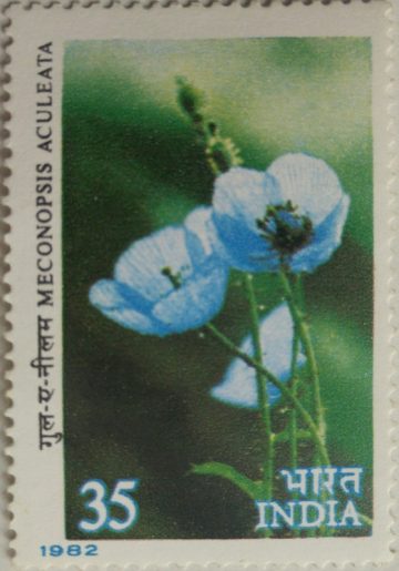Himalayan Flowers - Blue Poppy. Wild Flower, Blue Poppy, Meconopsis aculeata, Botany, 35 P.  (Hinged/Gum washed stamp)
