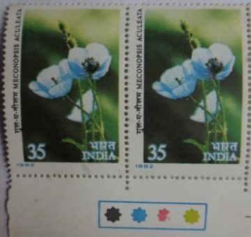 Meconopsis aculeata (Set of 2) (Traffic Light Stamp)