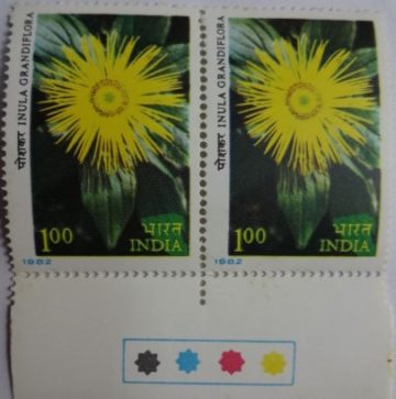 Inula grandiflora (Set of 2) (Traffic Light Stamp)